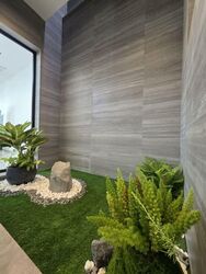 Sembawang Park (D27), Terrace #568336071